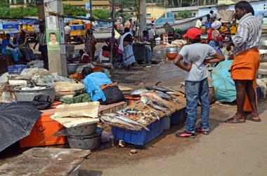 Vizhinjam, Fish Market,_DSC_9028_H600